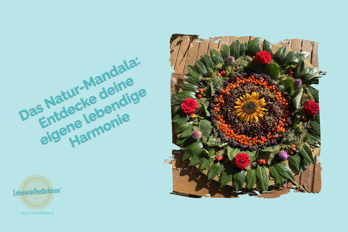 Ein Mandala, das aus Blüten und Blättern gelegt ist in grün, rot, orange