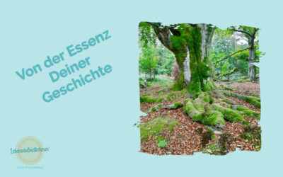 Ein türkisfarbener Hintergrund mit dem Text "Von der Essenz deiner Geschichte", auf der rechten Seite ist ein Baum zu sehen, von dem man große Wurzeln sieht.