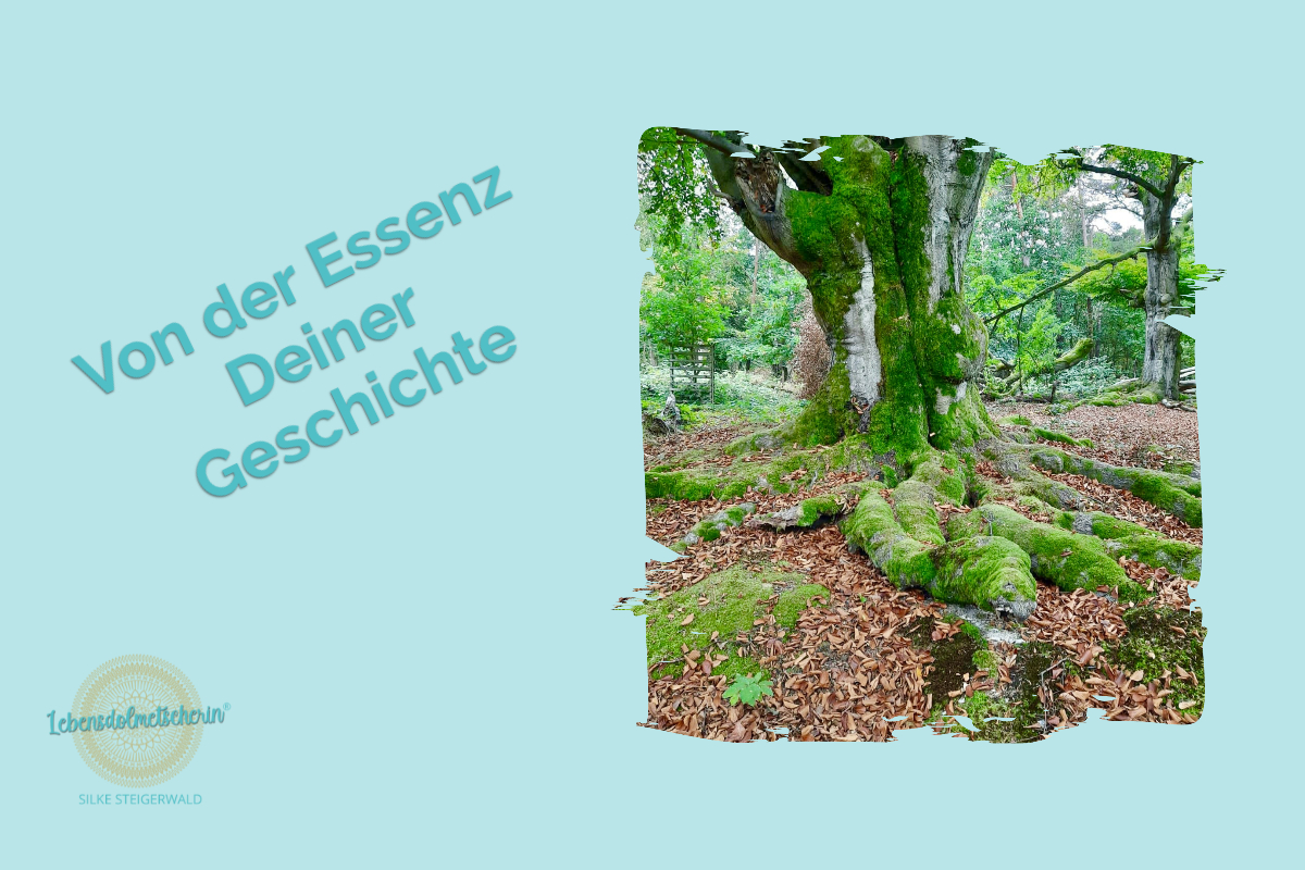 Ein türkisfarbener Hintergrund mit dem Text "Von der Essenz deiner Geschichte", auf der rechten Seite ist ein Baum zu sehen, von dem man große Wurzeln sieht.