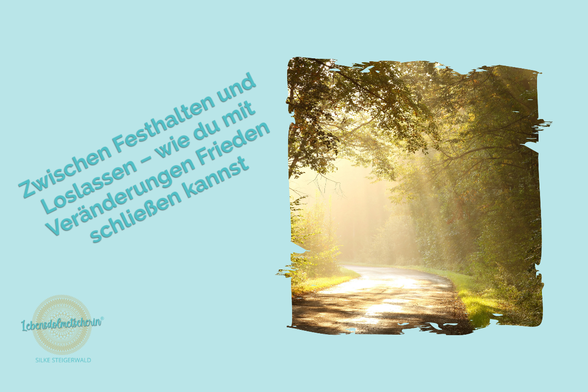 Sonnenlicht fällt durch Bäume auf einen ruhigen Waldweg, der sich sanft in die Ferne windet – Symbol für Veränderung, Loslassen und Neubeginn.