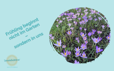 Lila Krokusse im Frühling mit Zitat „Frühling beginnt nicht im Garten – sondern in uns“ vor türkisfarbenem Hintergrund